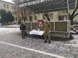 Memoriál Miloša RÍZEKA