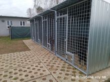 Skupina služobnej kynológie Vojenskej polície