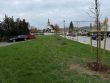 Lipovo-gaštanová alej zdobí Gabčíkov park