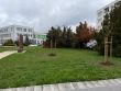 Lipovo-gaštanová alej zdobí Gabčíkov park