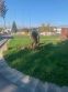 Lipovo-gaštanová alej zdobí Gabčíkov park