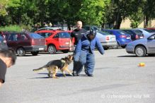 Branno - �portov� de� vo Zvolene