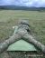Kurz ostreovaov Sniper Basic