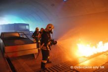 S��innostn� cvi�enie vojensk�ch hasi�sk�ch jednotiek vzdu�n�ch s�l