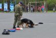 Vojensk polcia na De det