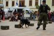 Vojenská polícia na Dni colníkov