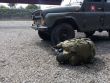 SHOOTING IMZ 03/2015 – VEHICLE TACTICAL