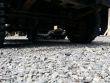 SHOOTING IMZ 03/2015 – VEHICLE TACTICAL