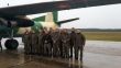 Medzinárodné cvičenie Compact Eagle 2015 vo Varšave