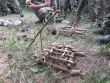 Základné bojové zručnosti