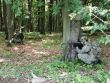 Zabezpečenie sústredeného poľného výcviku kadetov AOS Liptovský Mikuláš