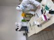 Plošné testovanie v rámci operácie „Spoločná zodpovednosť“