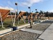 Decembrové streľby príslušníkov 11. mechanizovaného práporu